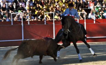El rejoneador onubense Andrés Romero.